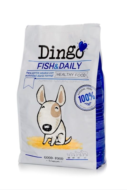 DINGO ADULT FISH&DAILY